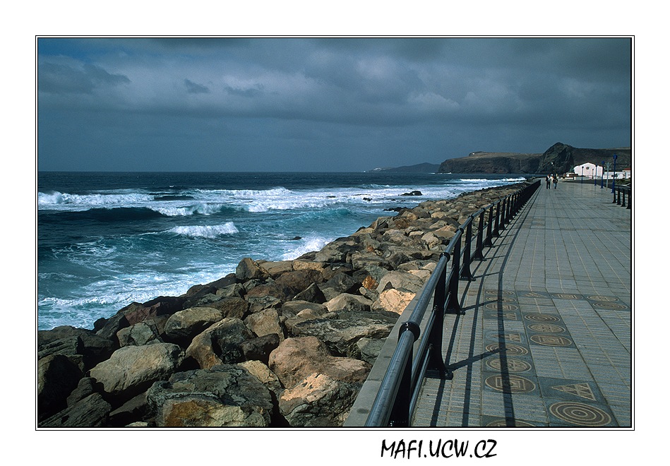 canaria06_02_14 .jpg